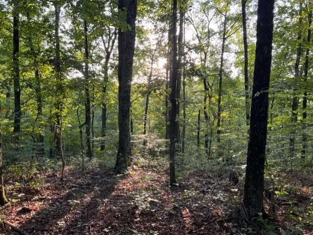 $659,900 | 1065 Sioux Trail, Pegram, TN 37143