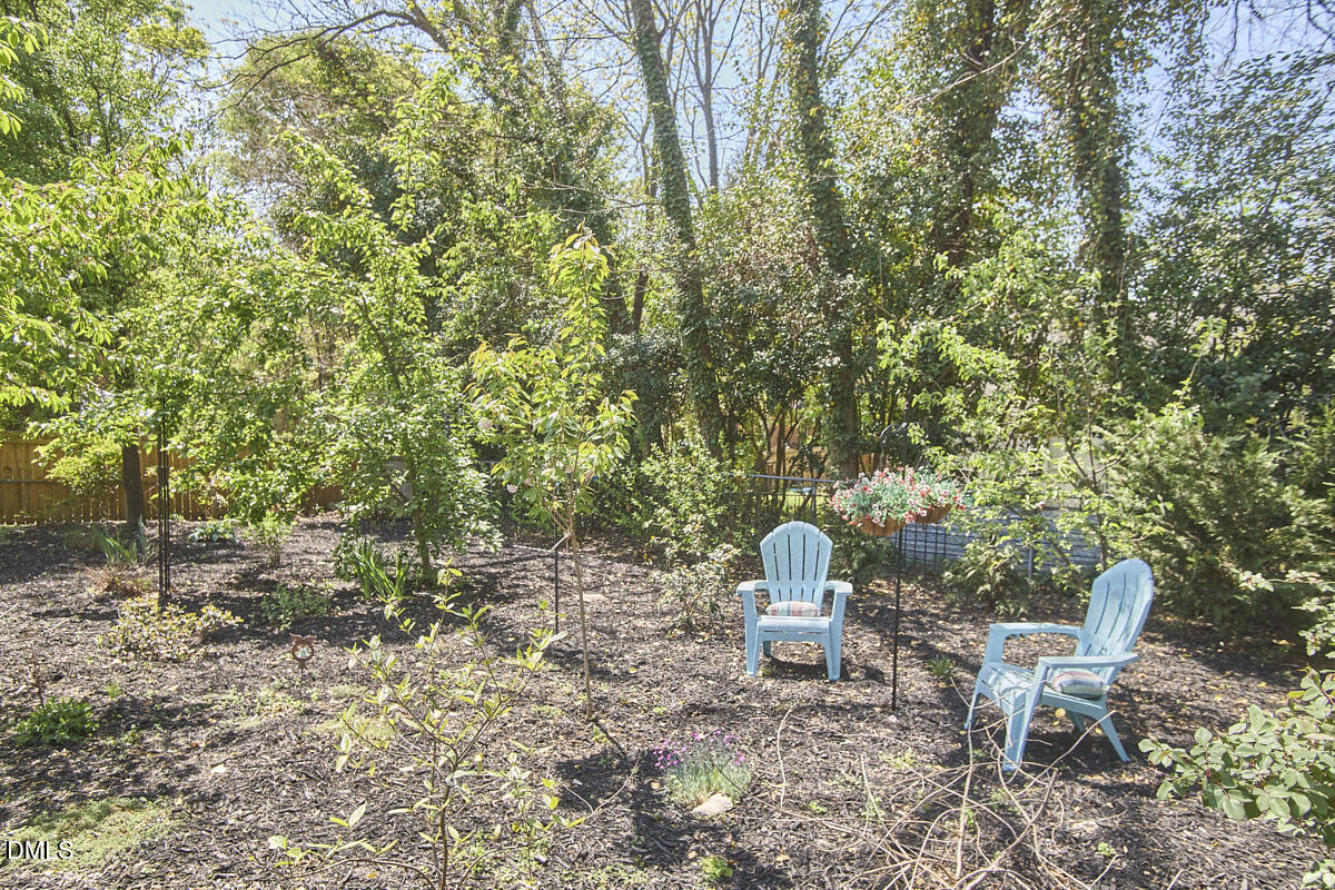 1002 Shepherd Street Durham, NC 27707 - Photo 43 of 52 Backyard