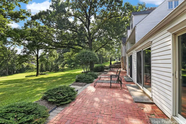 a view of a tree in a park