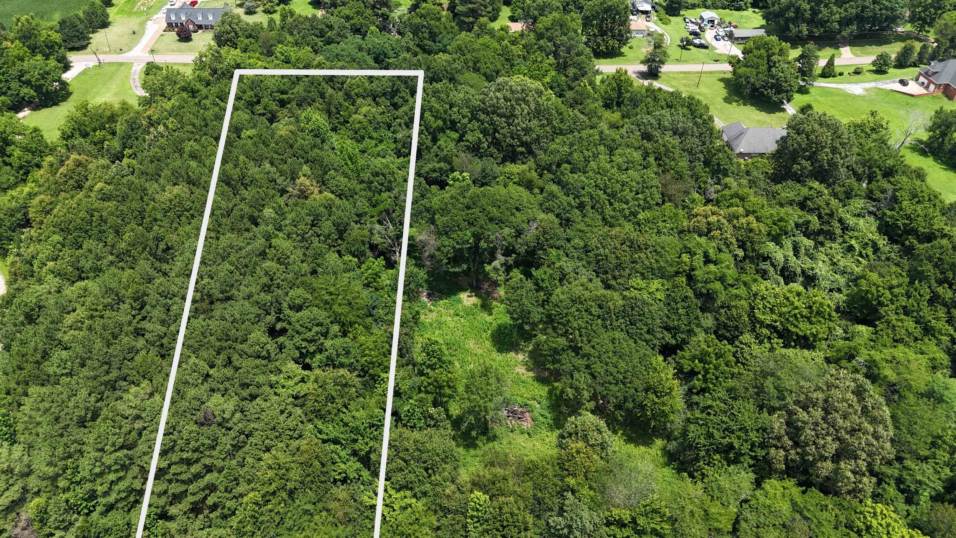 10477 Godwin Road Arlington, TN 38002 - Photo 2 of 8 Northern wooded portion of the property.