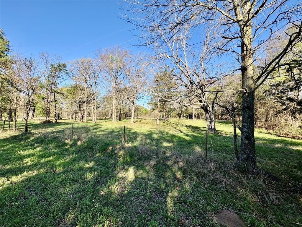 540 VZ County Road Canton, TX 75103 - Photo 2 of 6