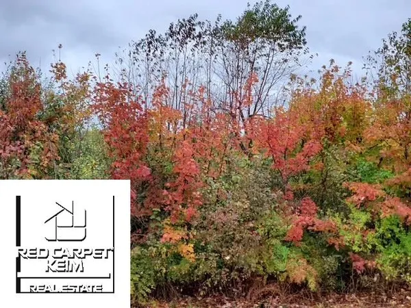 $252,000 | Irish Road, Millington, MI 48746
