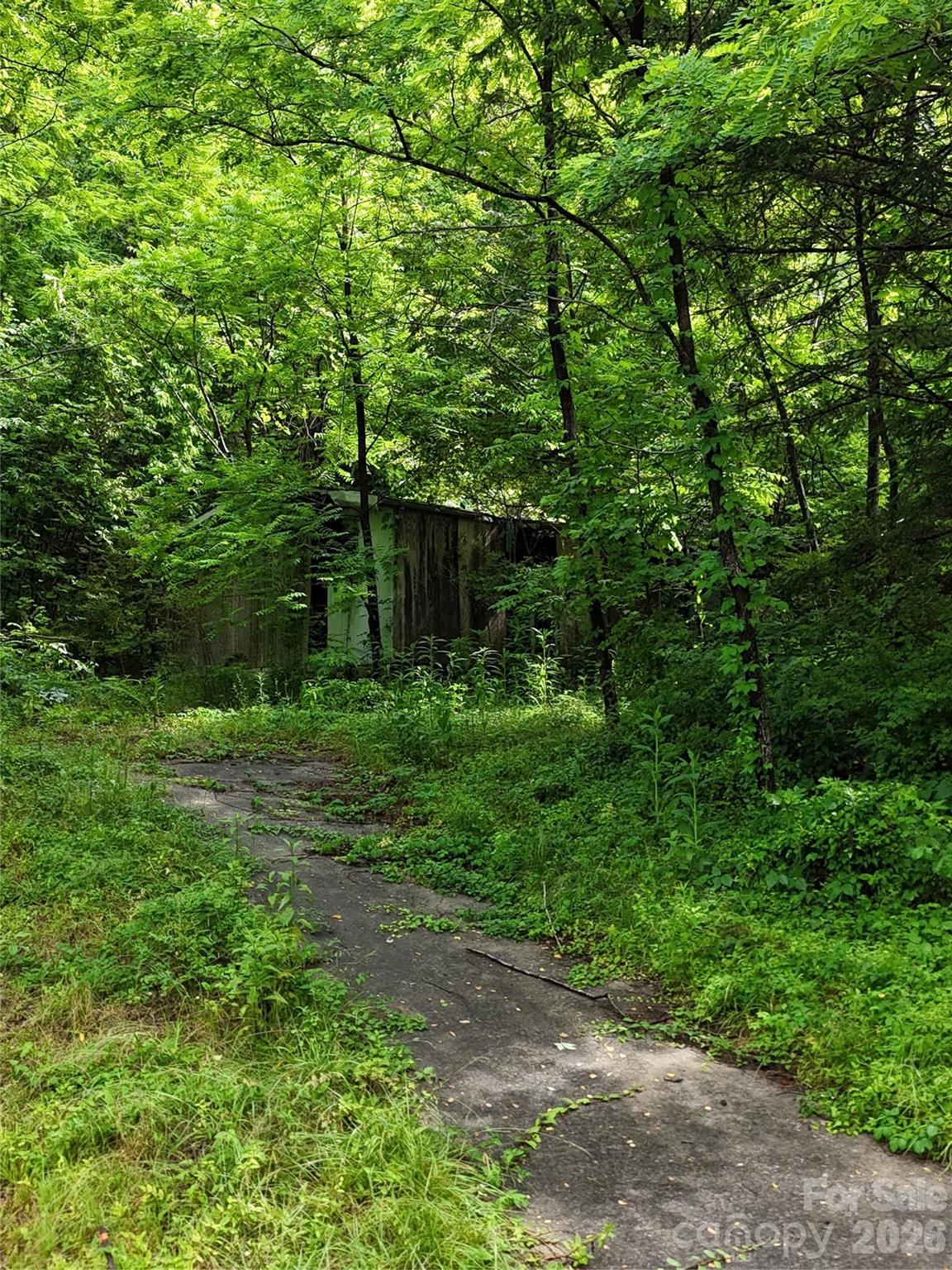 83 Shanty Town Road Old Fort, NC 28762 - Photo 5 of 16