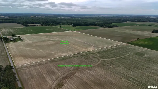 an outdoor space with garden view