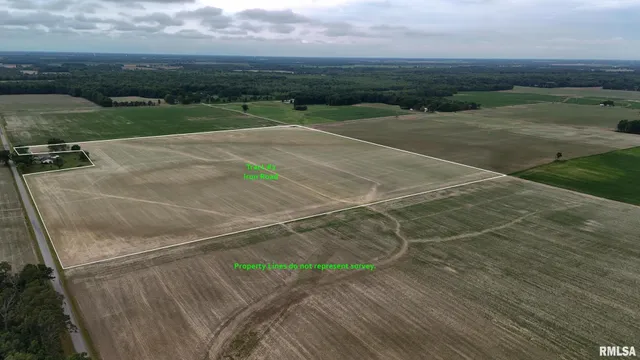 an outdoor space with garden view