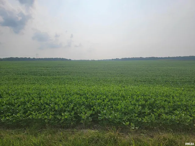 a view of field with grass