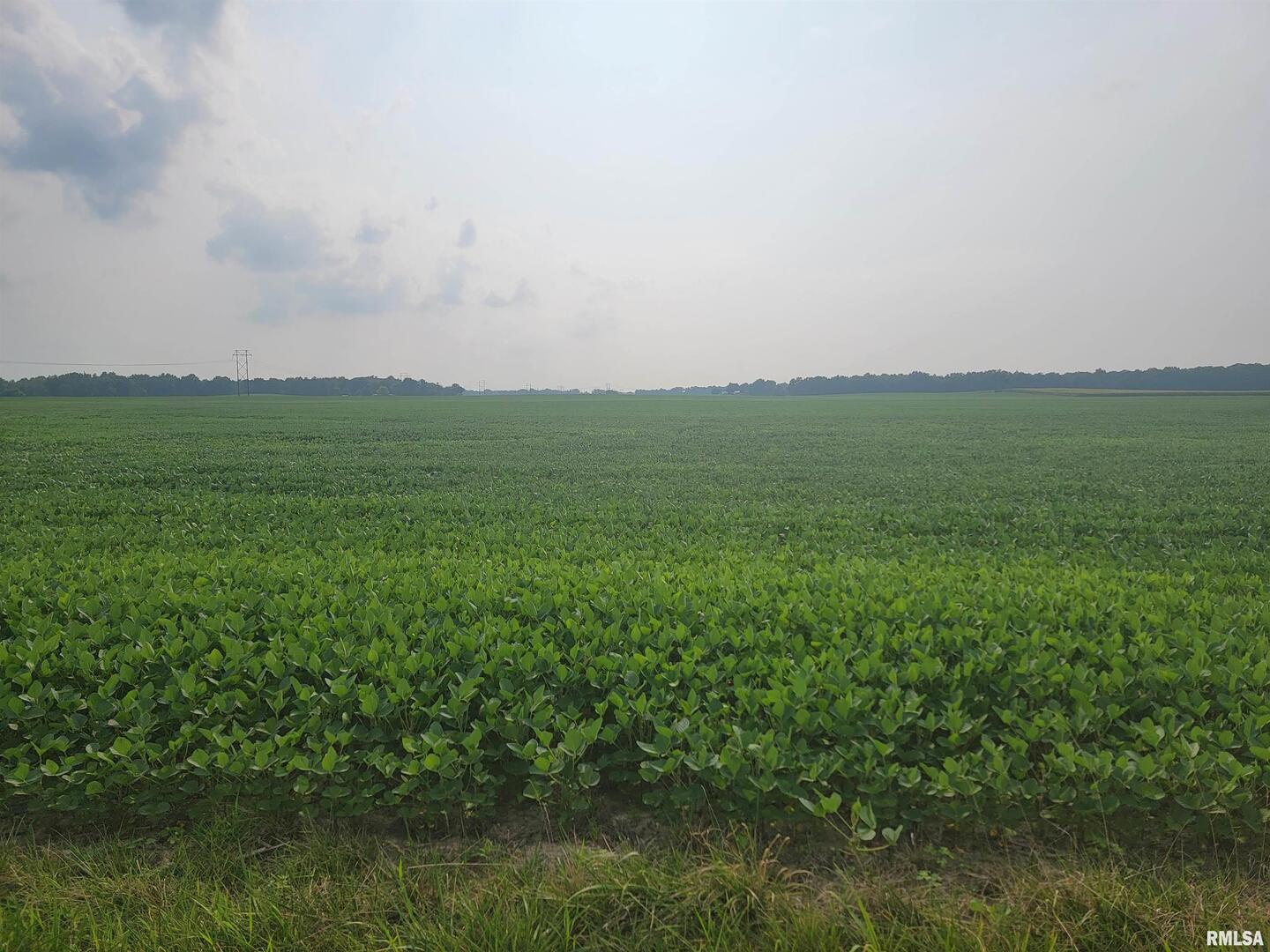 0 Iron Road Louisville, IL 62858 - Photo 5 of 9