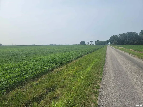 a view of a field with grass and trees