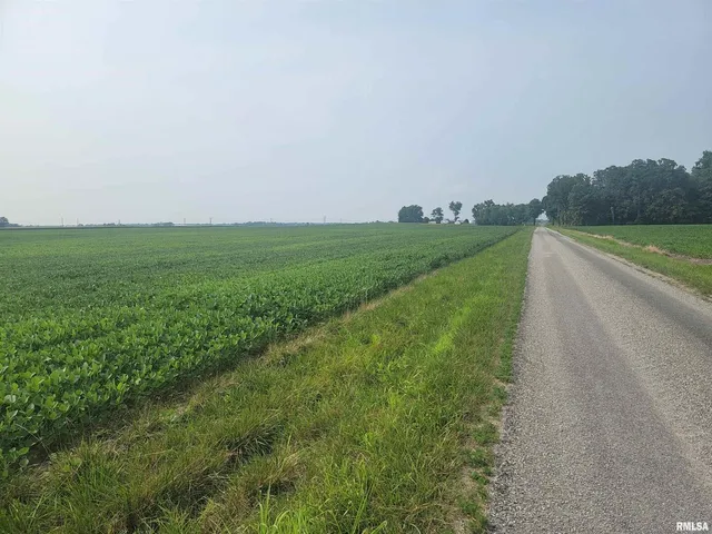 a view of a field with grass and trees