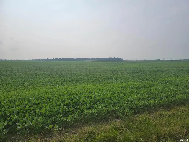 a view of field with grass and trees
