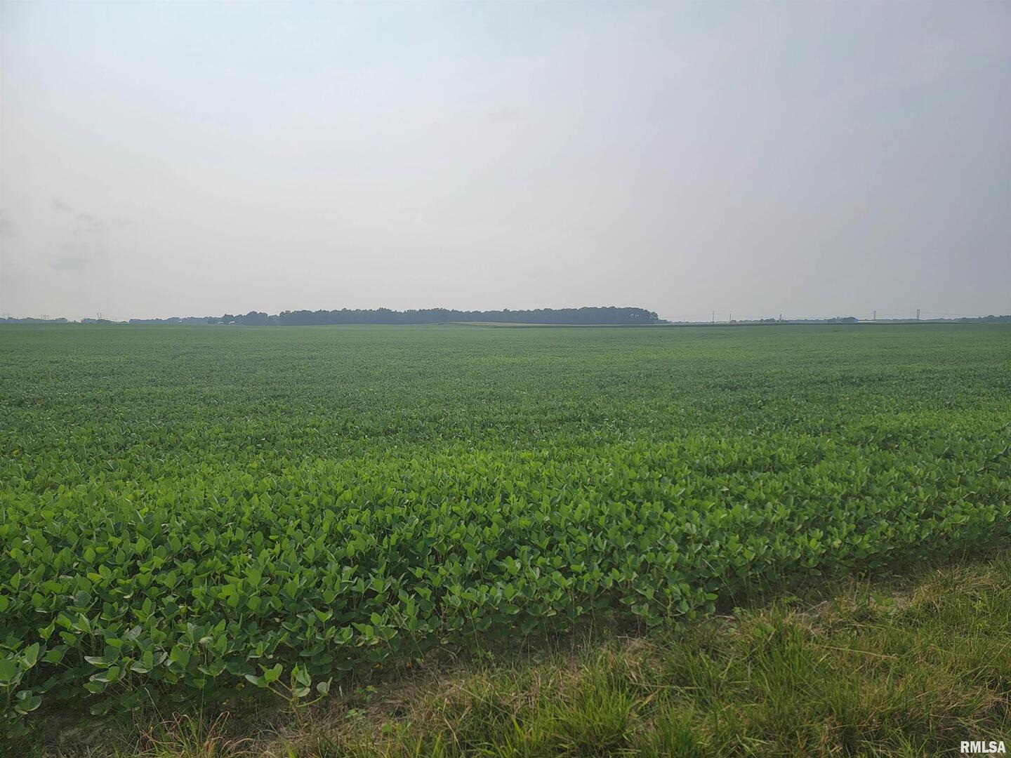 0 Iron Road Louisville, IL 62858 - Photo 7 of 9