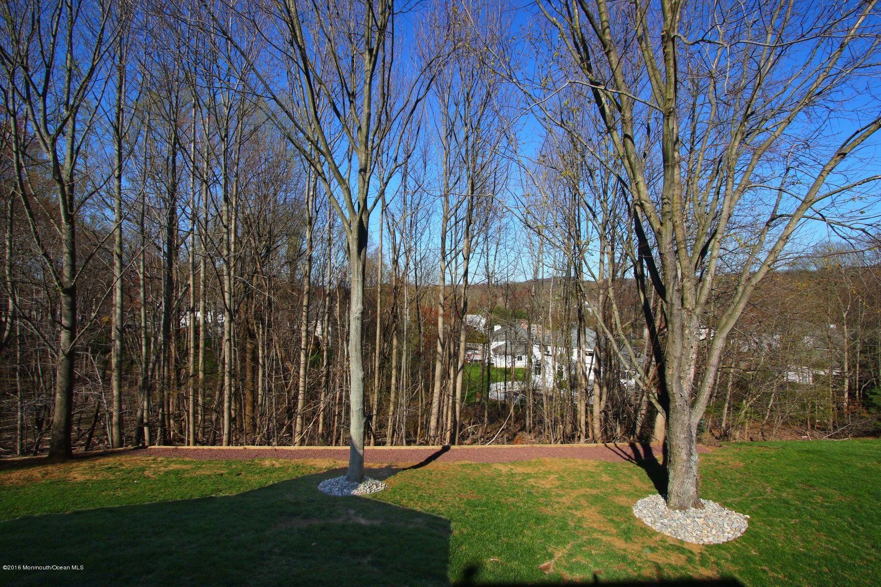 94 Knob Hill Road Morganville, NJ 07751 - Photo 6 of 37 08IMG_0688a