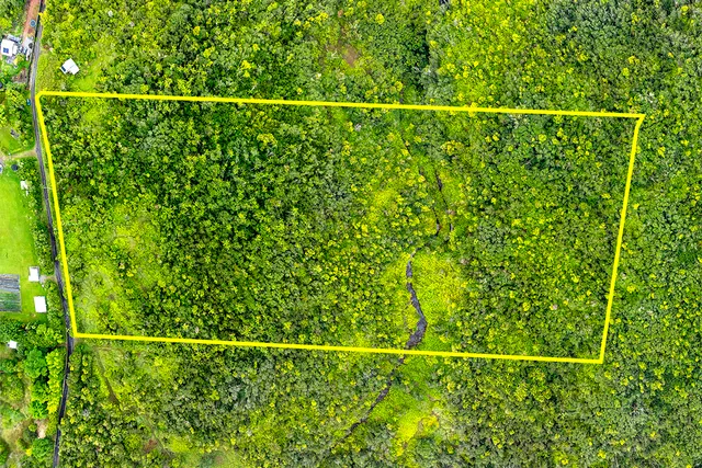 a view of a fence and a plant from a window