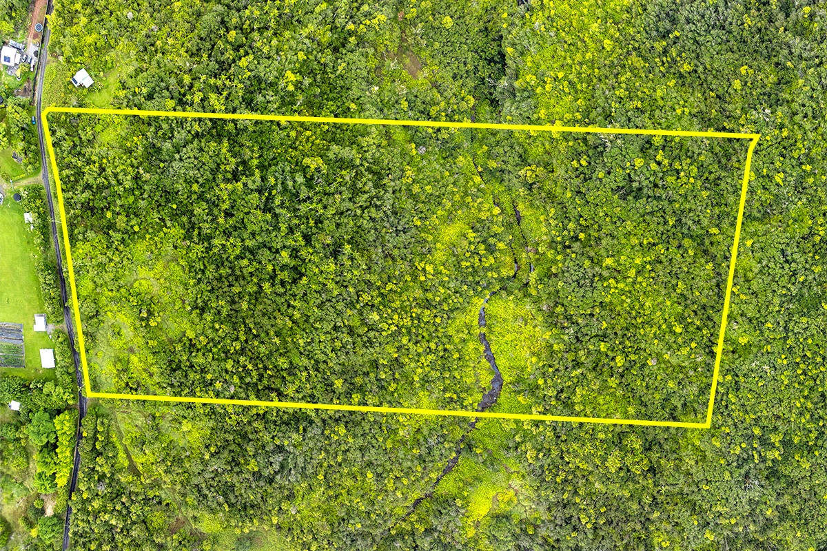 a view of a fence and a plant from a window