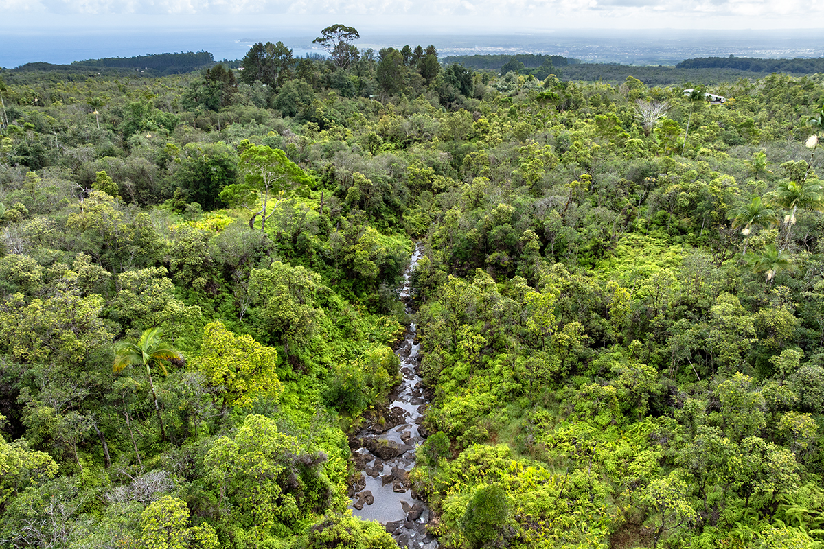 19-51 Kaiwiki Road Hilo, HI 96720 - Photo 11 of 13 a view of a garden