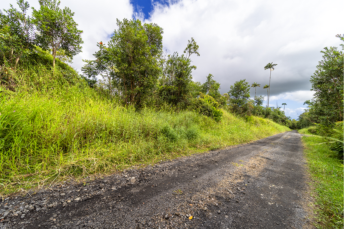 19-51 Kaiwiki Road Hilo, HI 96720 - Photo 12 of 13 a view of a yard with plants and a bench
