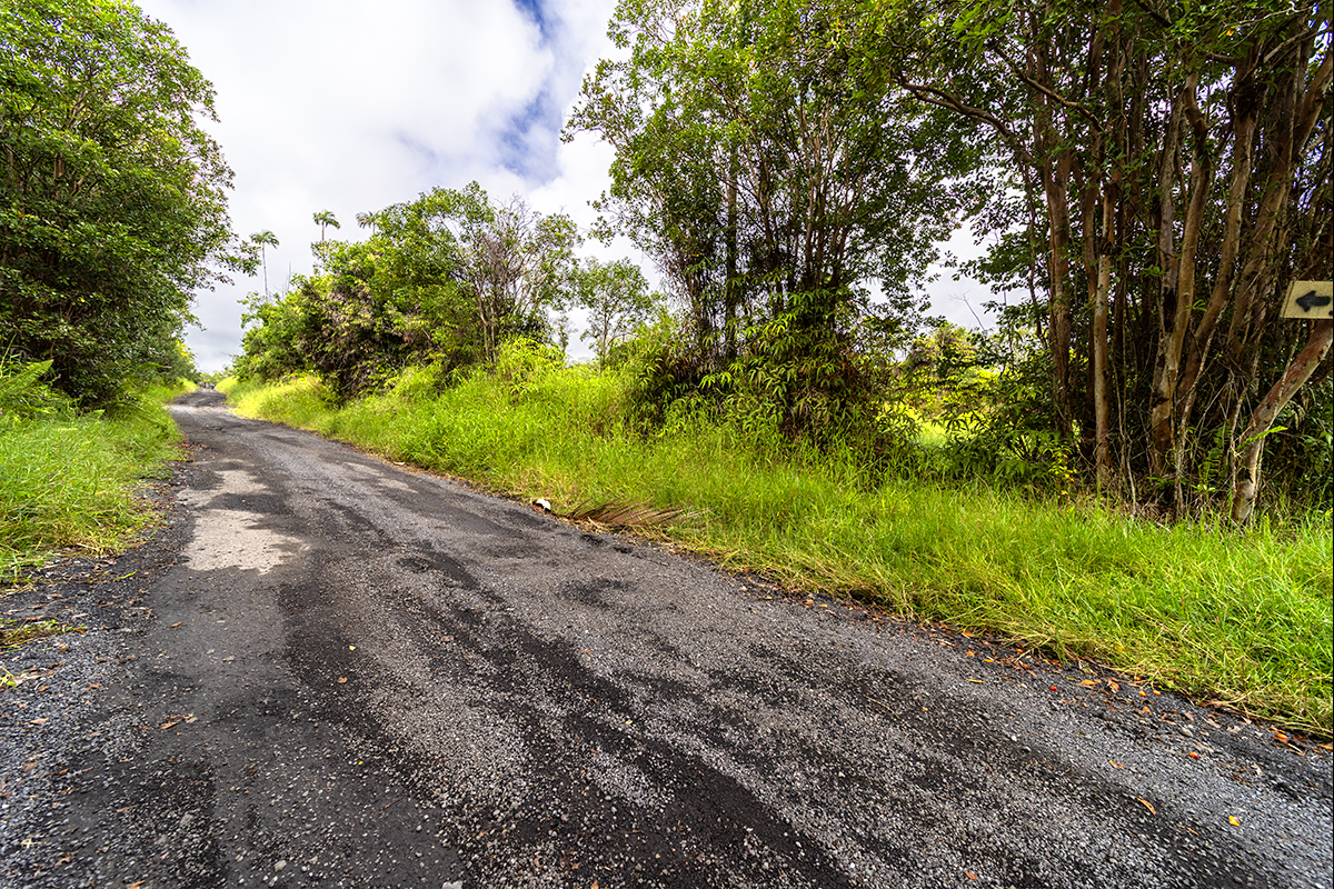 19-51 Kaiwiki Road Hilo, HI 96720 - Photo 13 of 13 a view of a yard with plants and a large tree
