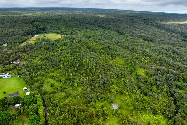 a view of a lush green space with sea