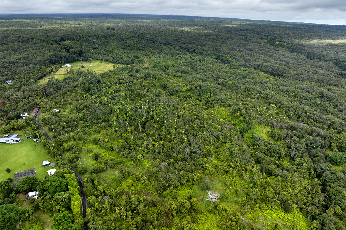 19-51 Kaiwiki Road Hilo, HI 96720 - Photo 2 of 13 a view of a lush green space with sea