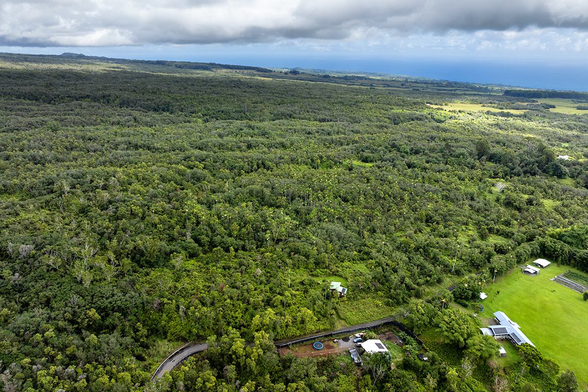 19-51 Kaiwiki Road Hilo, HI 96720 - Photo 4 of 13 a view of an outdoor space and a yard