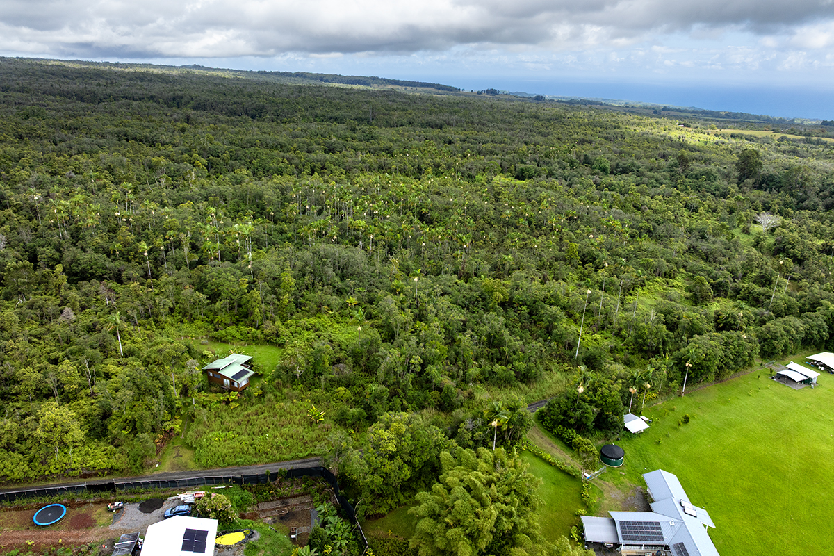 19-51 Kaiwiki Road Hilo, HI 96720 - Photo 5 of 13 a view of a big yard with lots of bushes