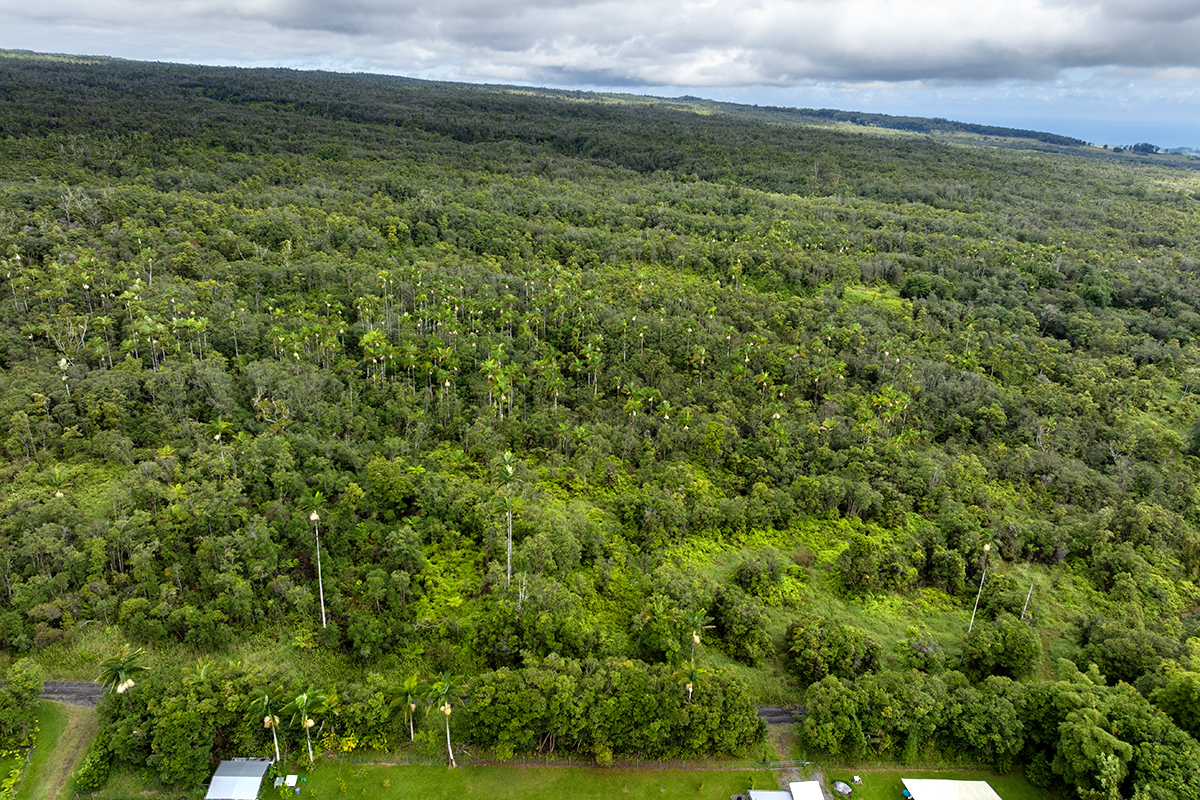 19-51 Kaiwiki Road Hilo, HI 96720 - Photo 6 of 13 a view of a green field with lots of bushes