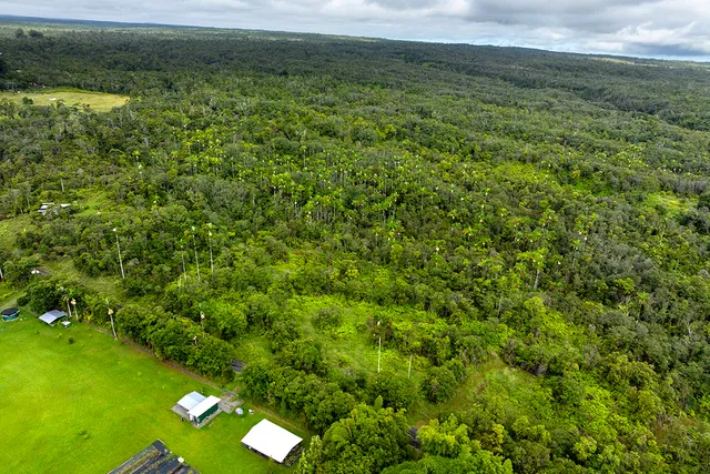 a view of a yard with an outdoor space