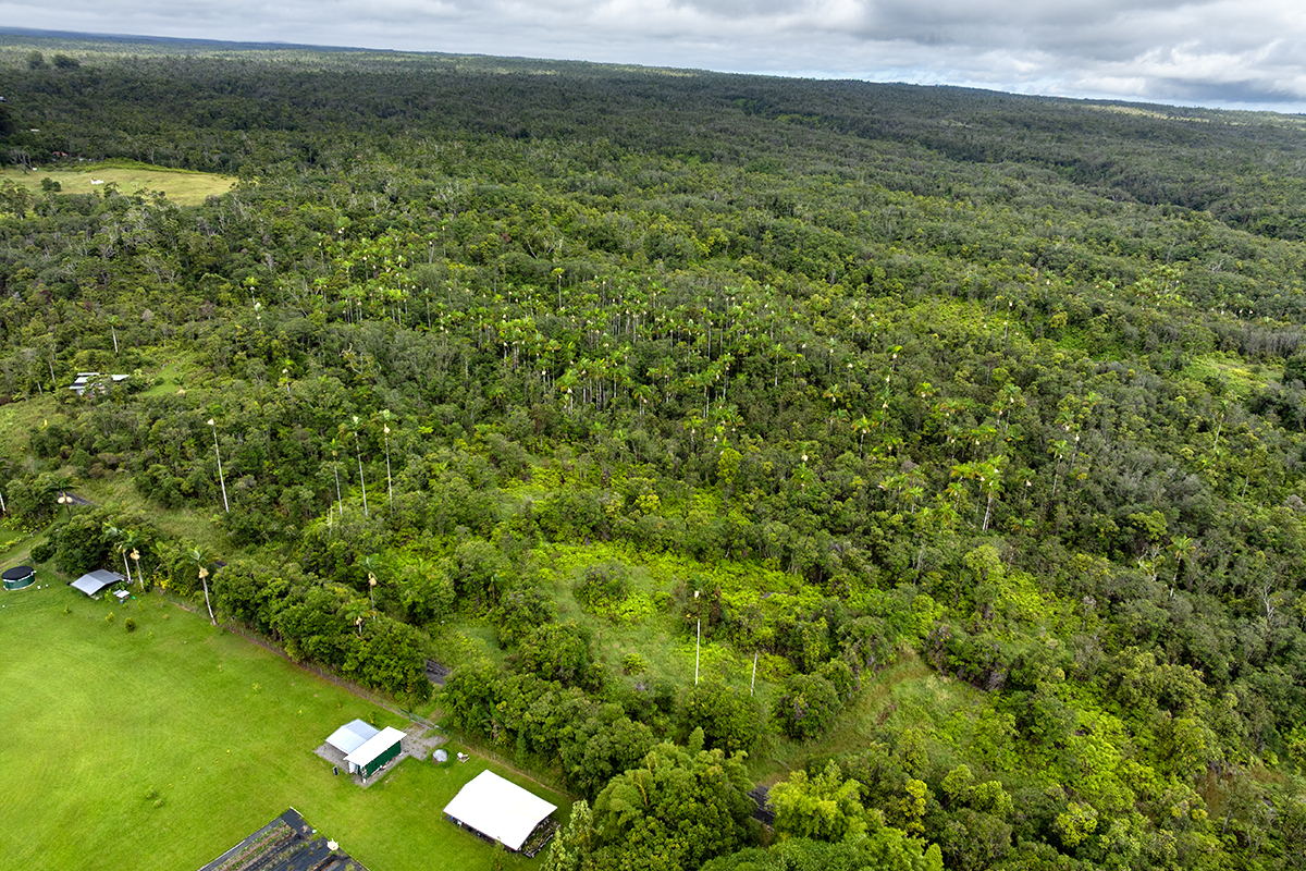 19-51 Kaiwiki Road Hilo, HI 96720 - Photo 7 of 13 a view of a yard with an outdoor space