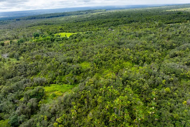 a view of a field of grass and trees