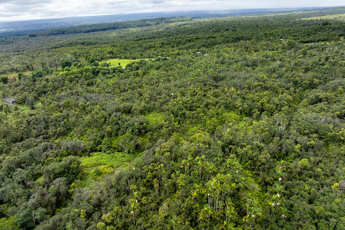 19-51 Kaiwiki Road Hilo, HI 96720 - Photo 8 of 13 a view of a field of grass and trees