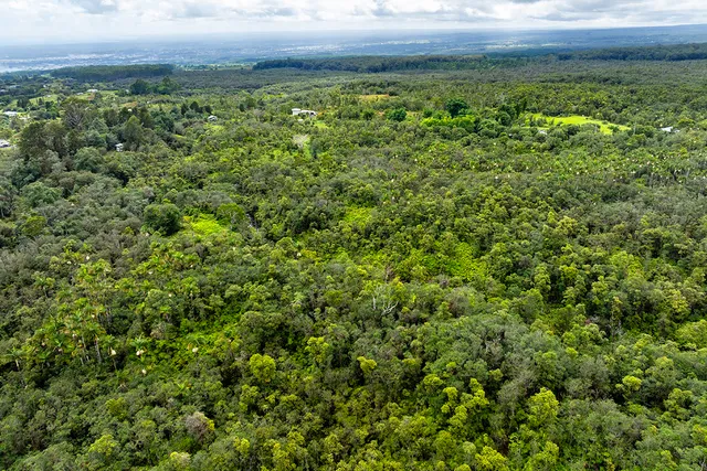 a view of a large yard with lots of green space