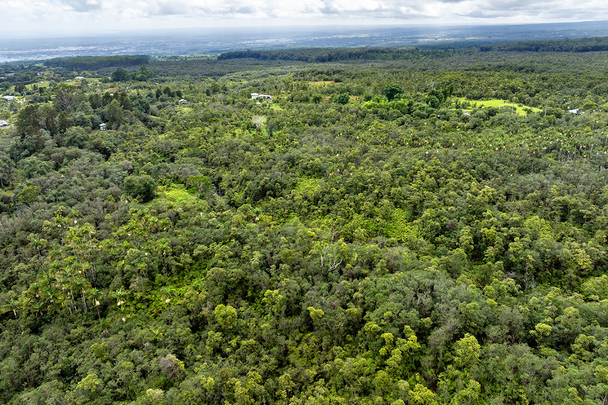 19-51 Kaiwiki Road Hilo, HI 96720 - Photo 9 of 13 a view of a large yard with lots of green space