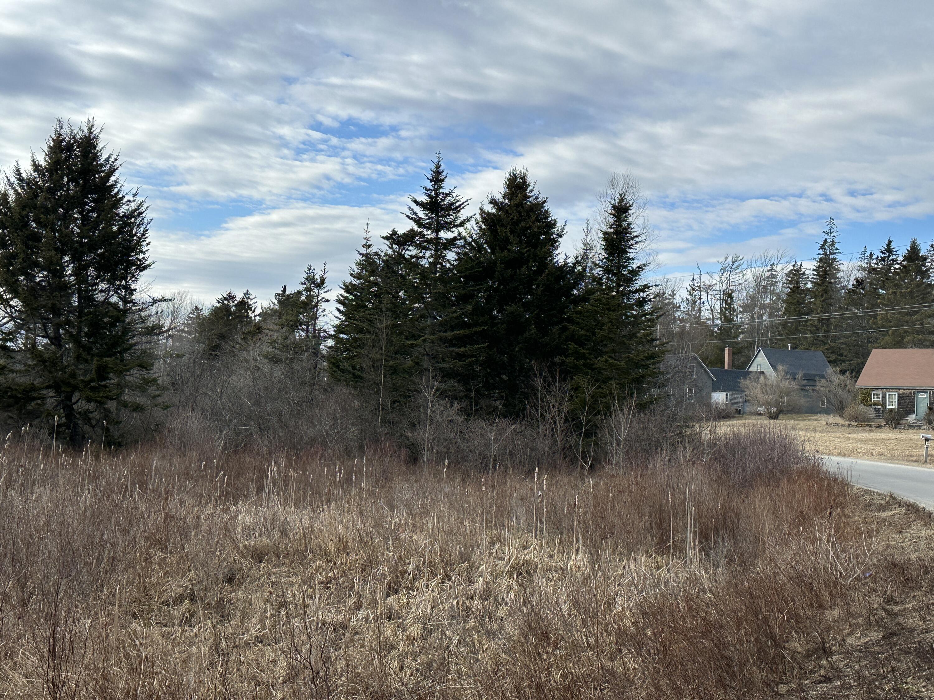 Lot #10 Ridge Road Tenants Harbor, ME 04860 - Photo 18 of 29 IMG_2059