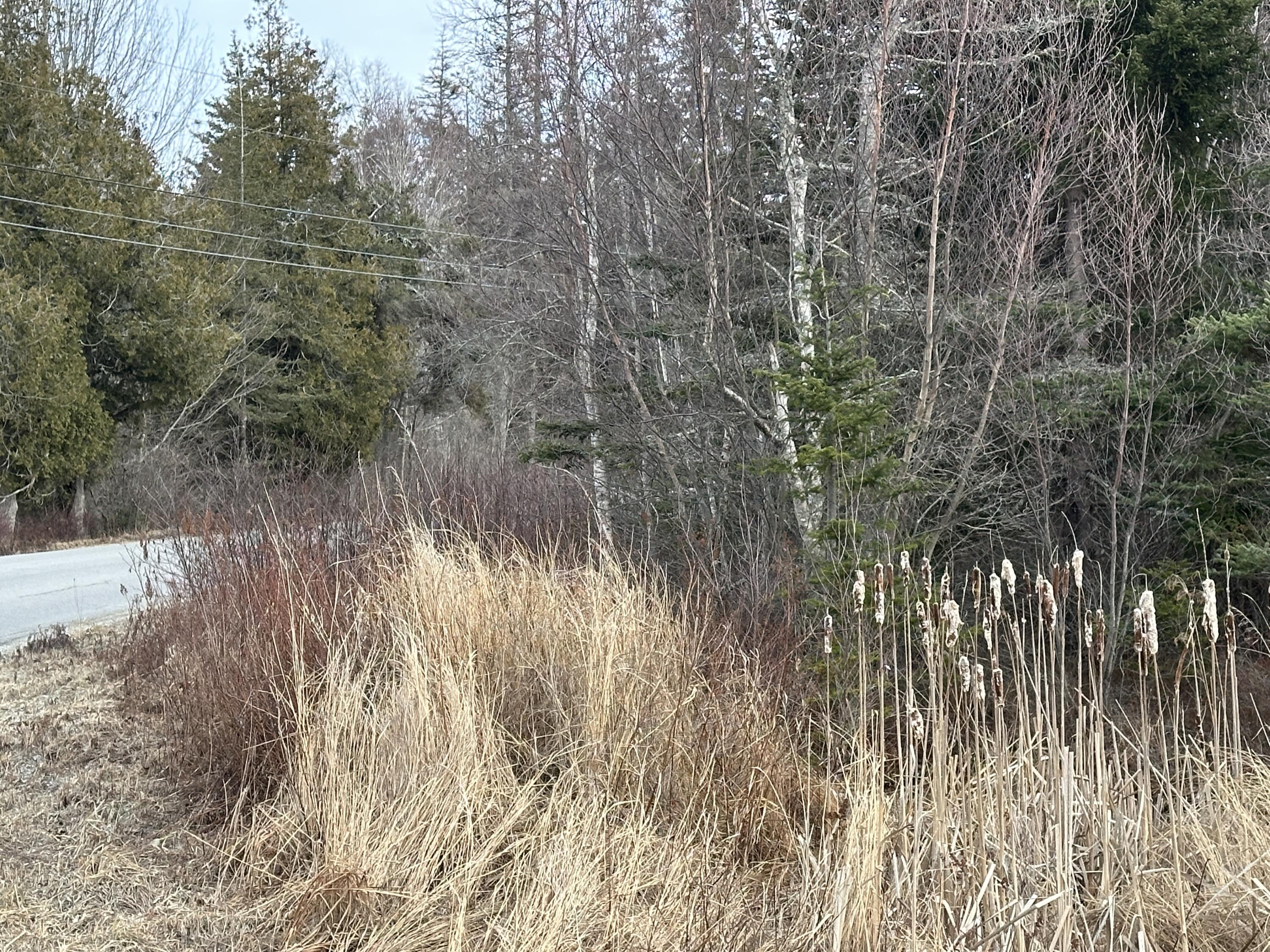 Lot #10 Ridge Road Tenants Harbor, ME 04860 - Photo 21 of 29 IMG_2087