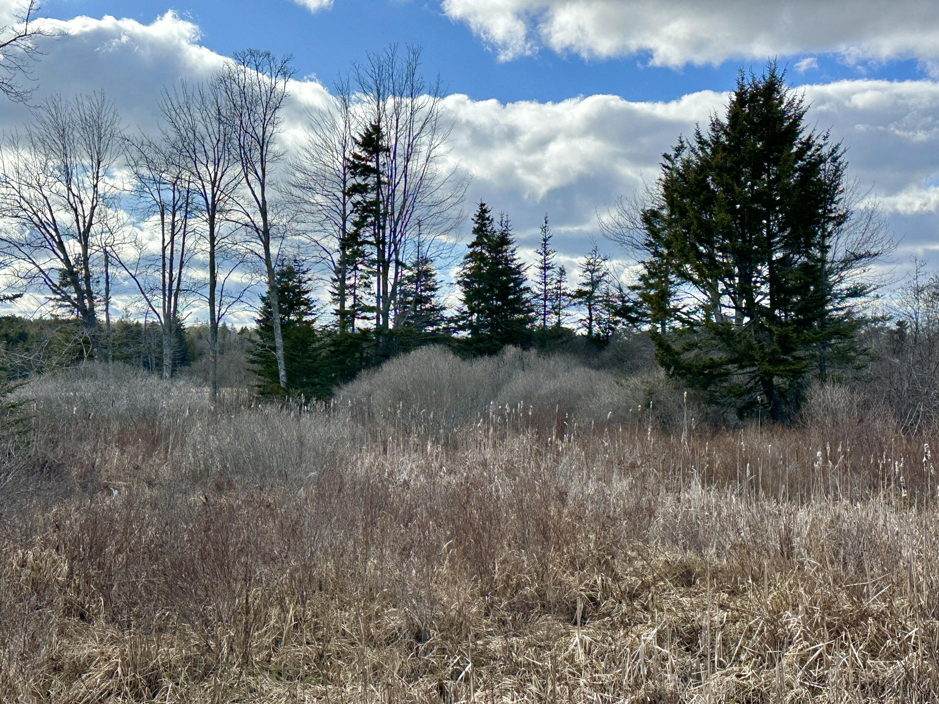 Lot #10 Ridge Road Tenants Harbor, ME 04860 - Photo 24 of 29 IMG_2164 3