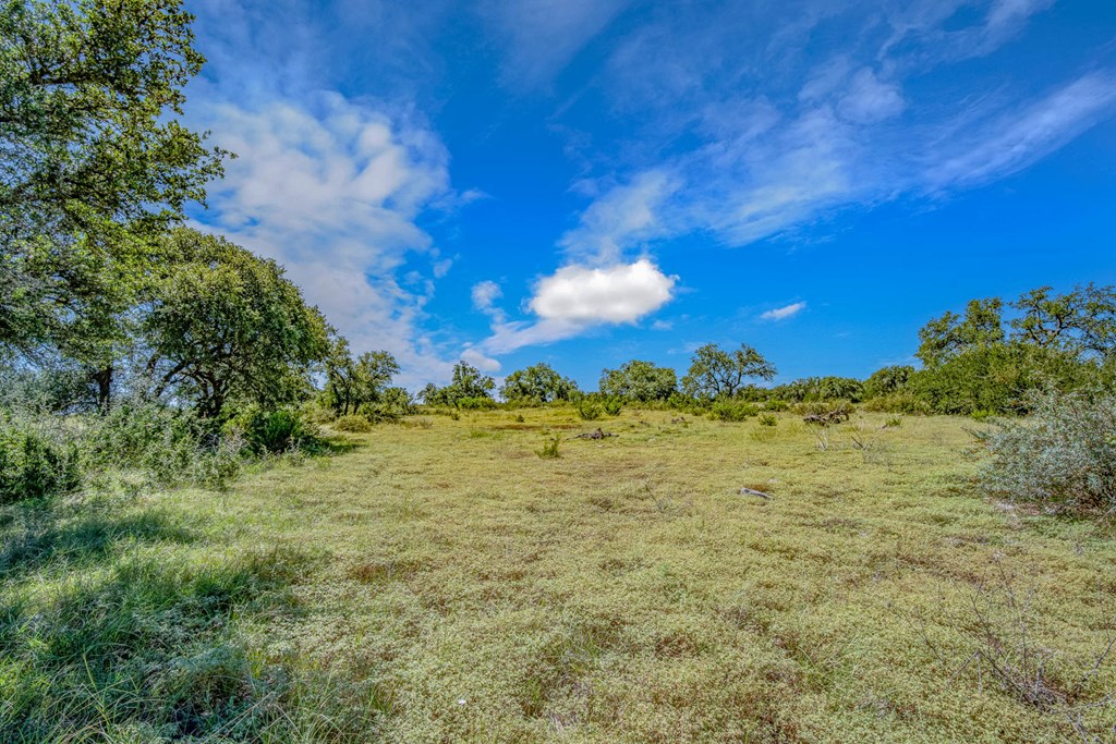 15 Bonita View Ranch Road, Unit 15 Harper, TX 78631 - Photo 4 of 10