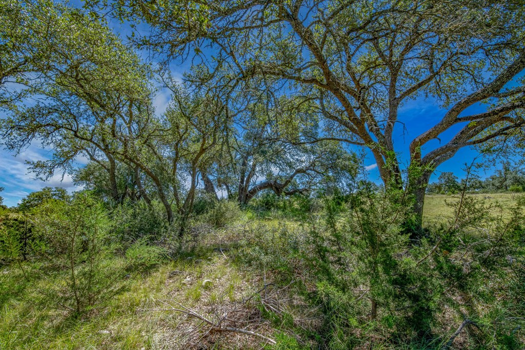 15 Bonita View Ranch Road, Unit 15 Harper, TX 78631 - Photo 6 of 10