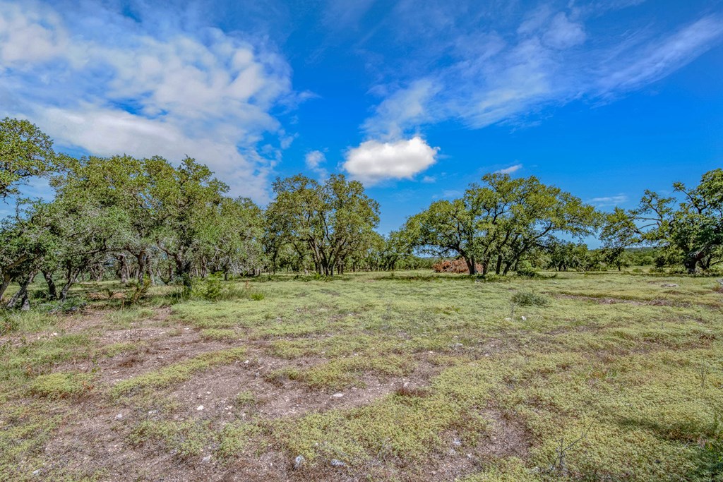15 Bonita View Ranch Road, Unit 15 Harper, TX 78631 - Photo 7 of 10