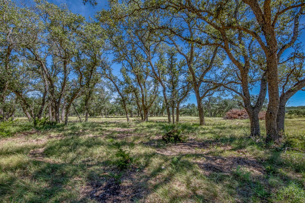 15 Bonita View Ranch Road, Unit 15 Harper, TX 78631 - Photo 8 of 10