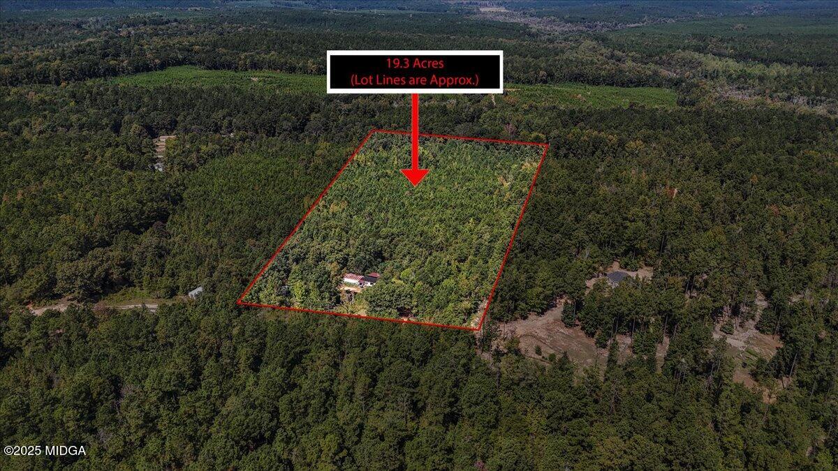 a flag is sitting in the middle of a yard