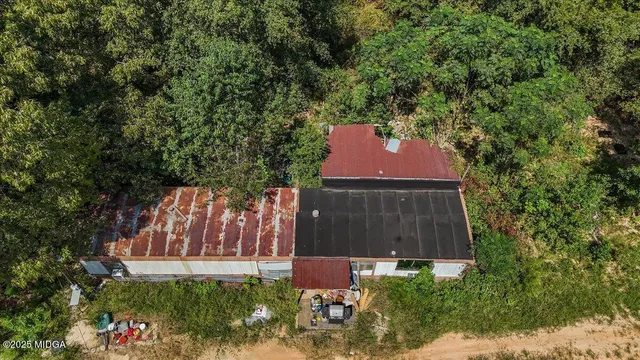 a view of a yard in a forest