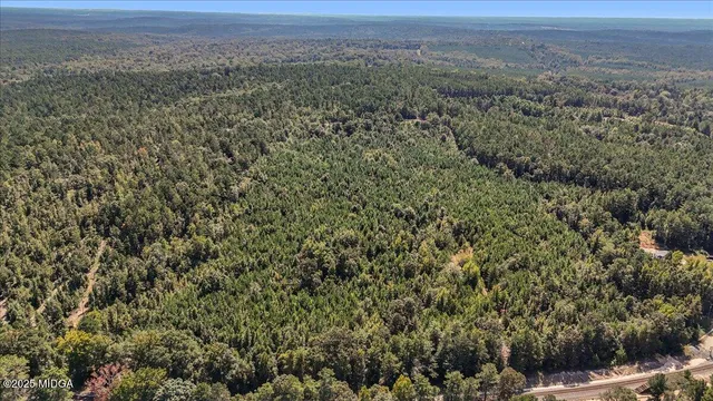 a view of a large green field
