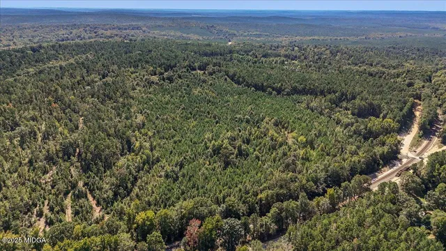 a view of a city with lush green forest