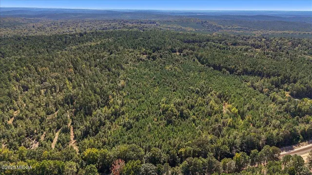 a view of a lush green forest with a building and mountain view