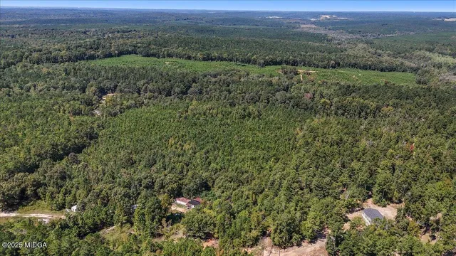 a view of a green field with lots of bushes