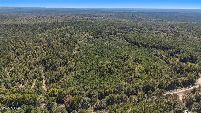 a view of city and mountain
