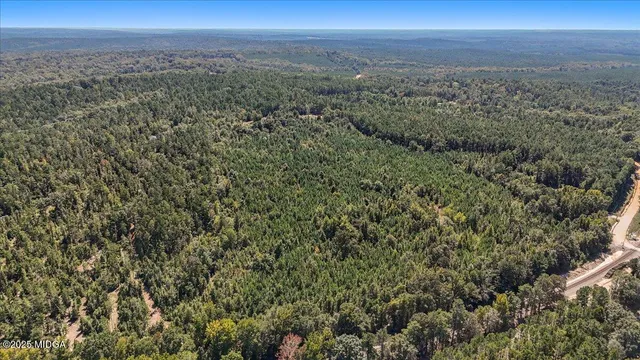 a view of a field with a forest