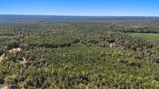 a view of a city with lush green forest