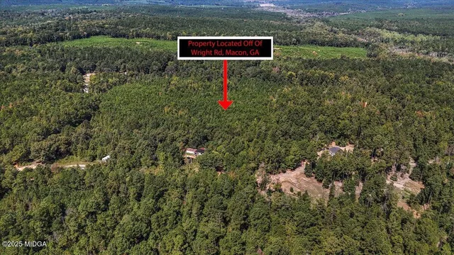 a view of a bunch of flowers