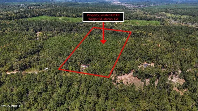 a view of a forest with a houses